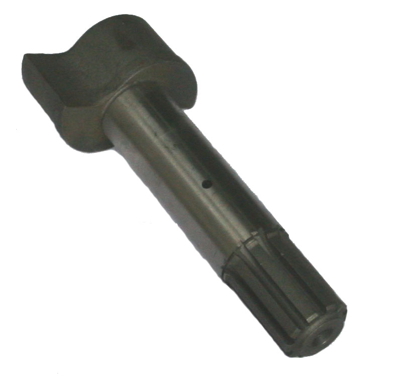 кулак разж лев мадара