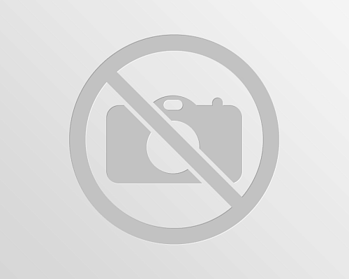 Бортовой автомобиль 4388-401-69 (4x2)